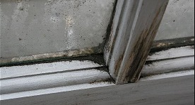 mould on windows1